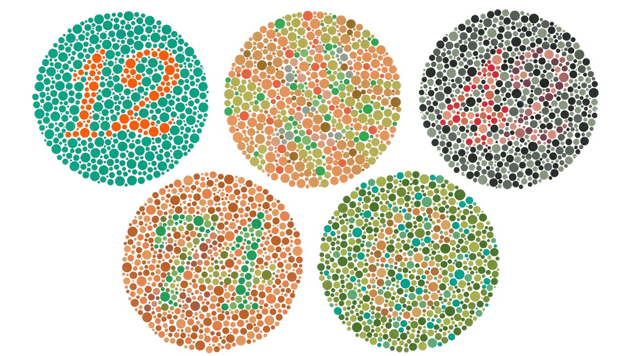 Watch video of colorblind man seeing color for first time