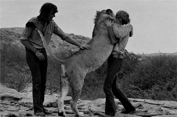 Christian The Lion hugs his two human friends in an emotional reunion